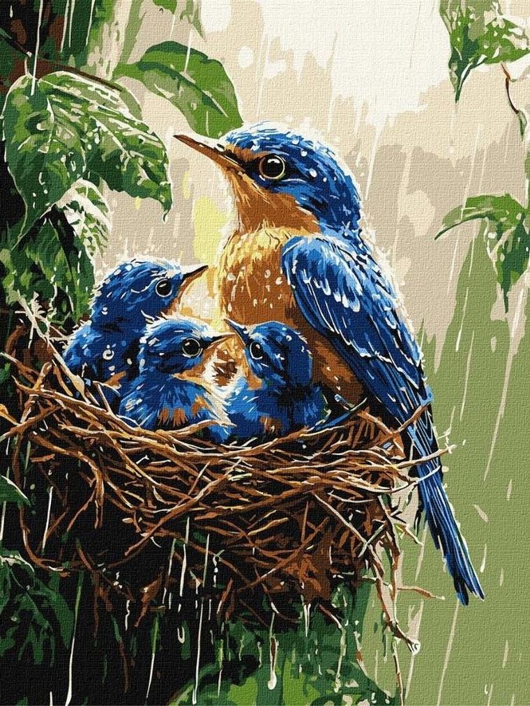 Ideyka, malowanie po numerach, Wiosenny deszcz, 30-40 cm