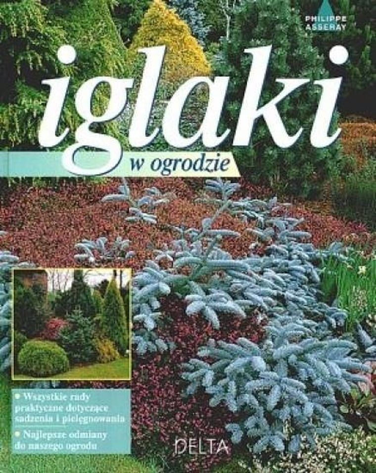 Iglaki w ogrodzie