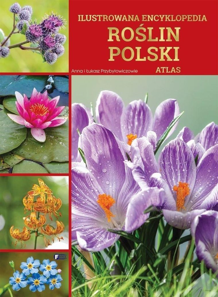 Ilustrowana encyklopedia roślin polski. Atlas
