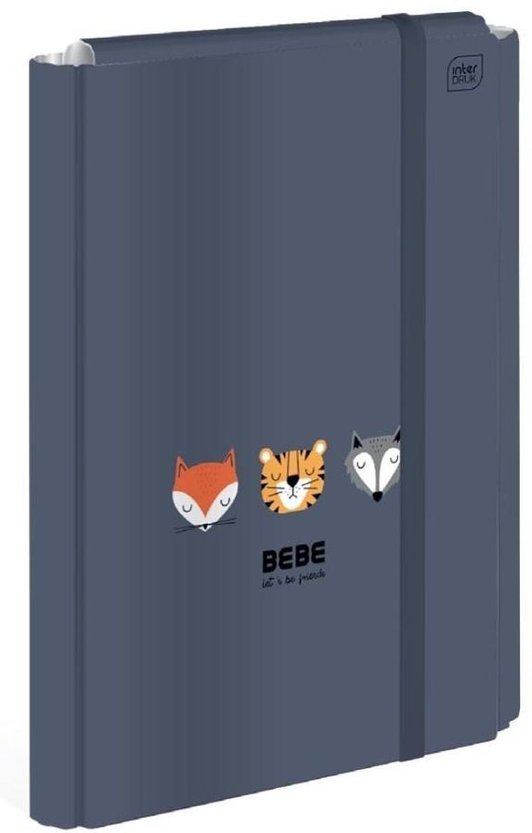Interdruk, Bebe Kids, teczka z gumką A4+, boys