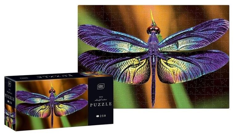 Interdruk, Colourful Nature, Dragonfly, puzzle, 250 elementów