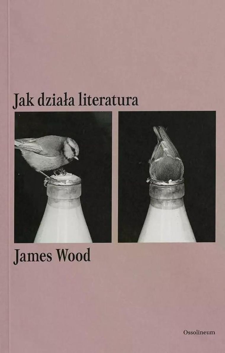 Jak działa literatura