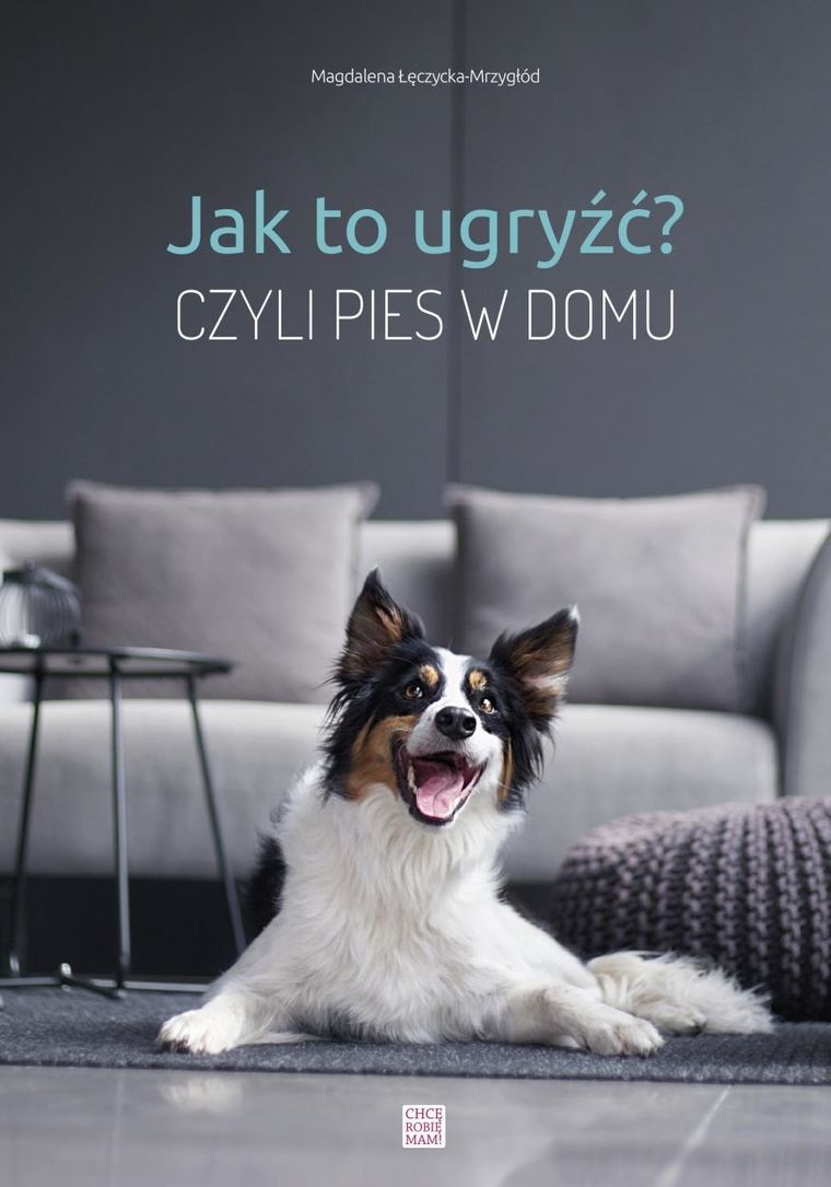 Jak to ugryźć? Czyli pies w domu