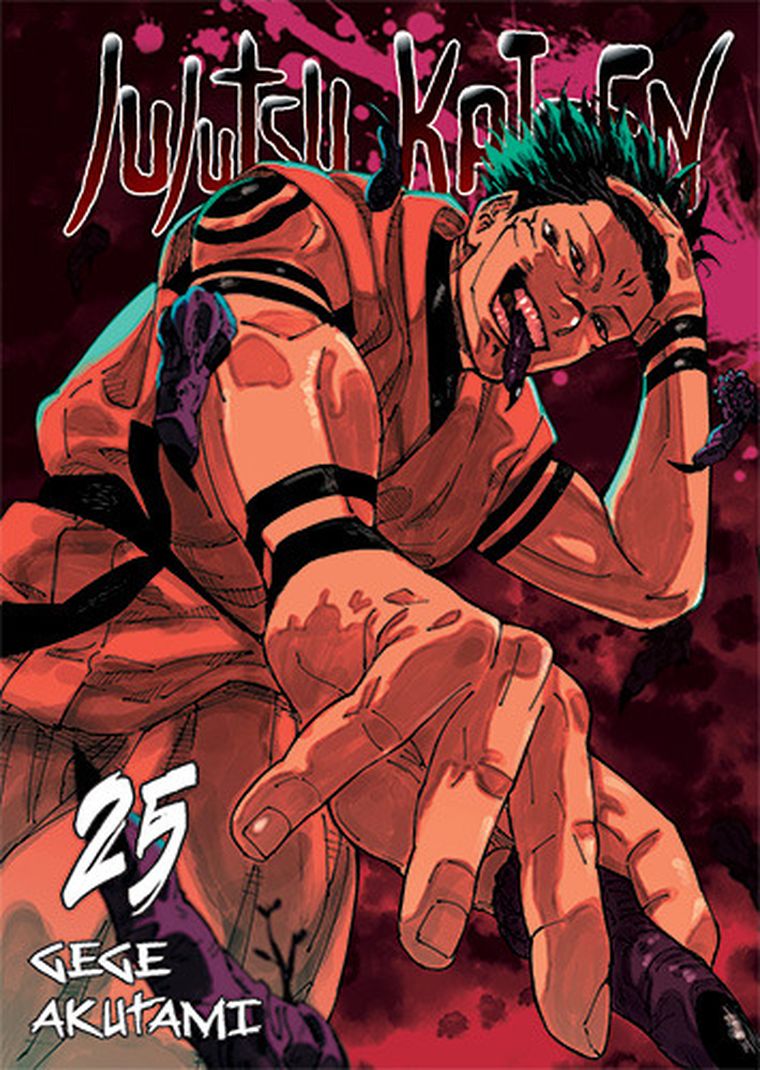 Jujutsu Kaisen. Tom 25