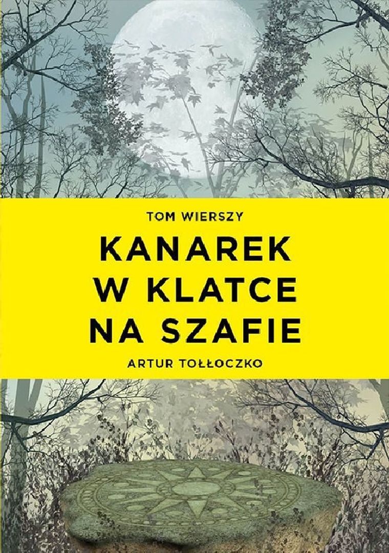 Kanarek w klatce na szafie