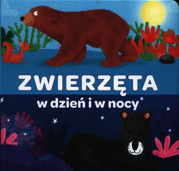 Kapitan Nauka. Harmonijka. Zwierzęta w dzień i w nocy