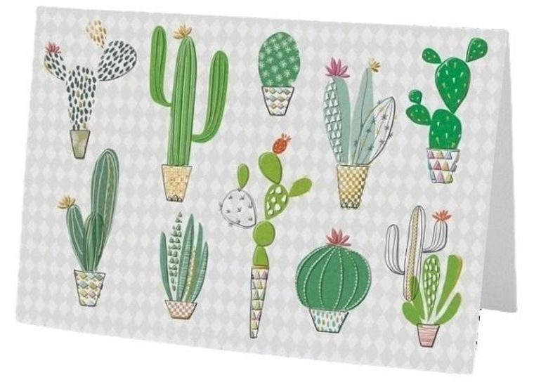 Karnet B6 + koperta, kaktusy