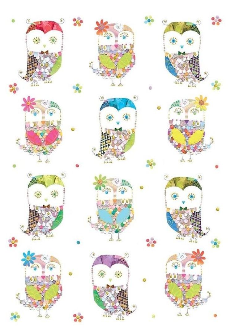 Karnet B6 + koperta, sówki