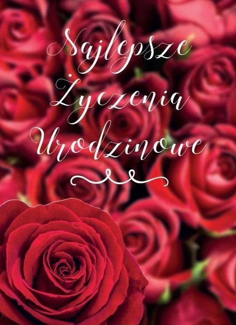 Karnet B6, urodziny