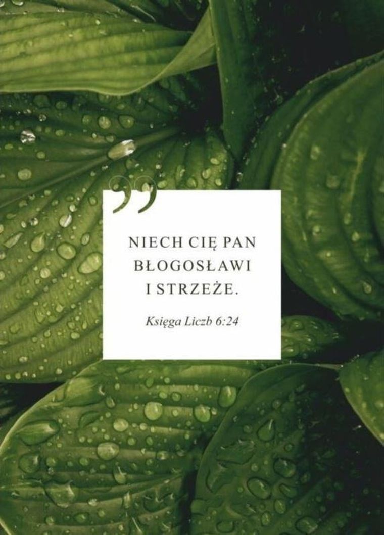 Karnet, Niech Cię Pan błogosławi, liście