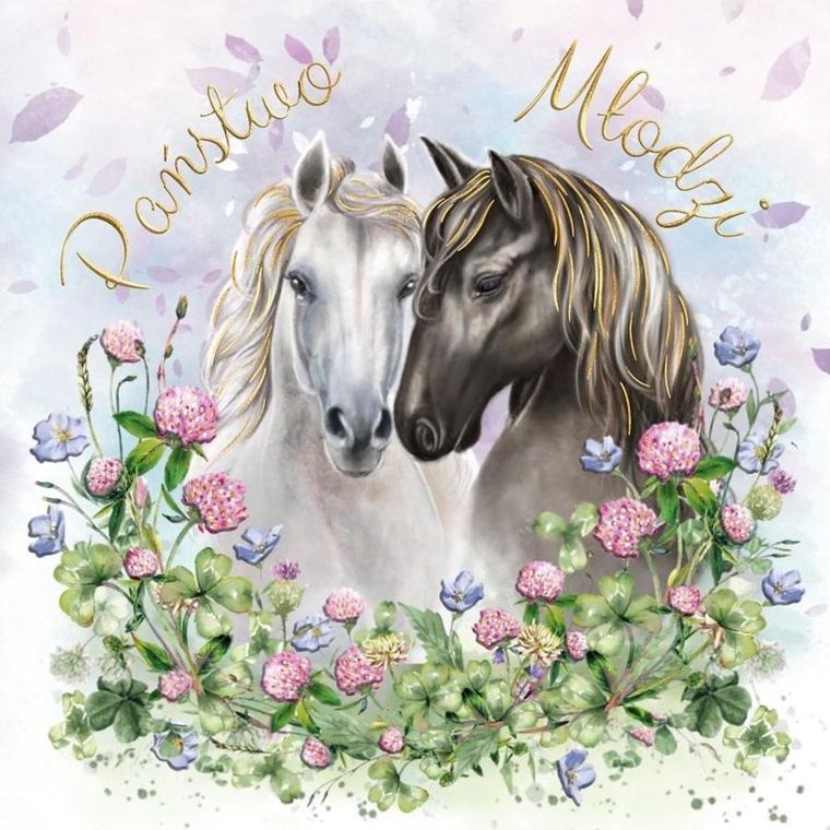 Karnet, ślub, konie