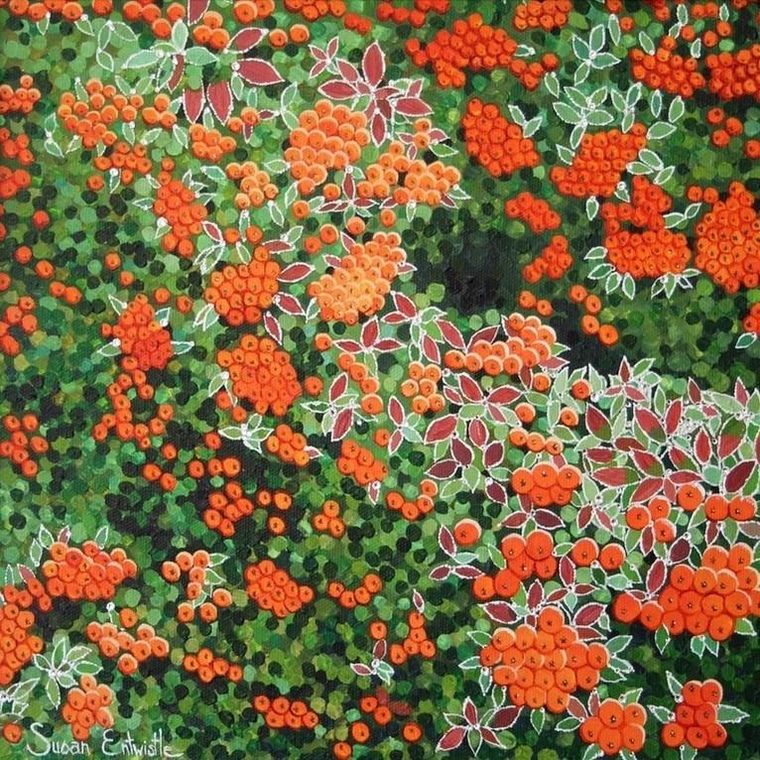 Karnet z kopertą, ognik szkarłatny