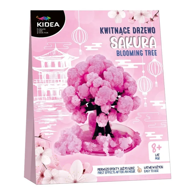 Kidea, kwitnące drzewo sakura, zestaw edukacyjny