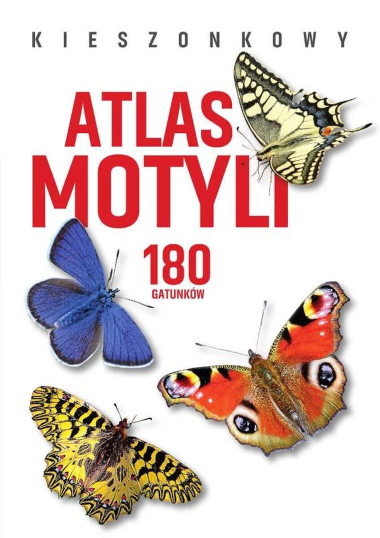 Kieszonkowy atlas motyli. 180 gatunków