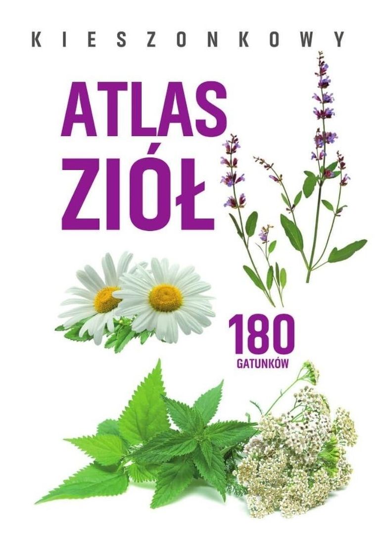 Kieszonkowy atlas ziół. 180 gatunków