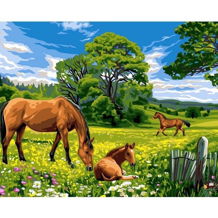 Koh-i-Noor, malowanie po numerach, Konie na łące, 40-50 cm