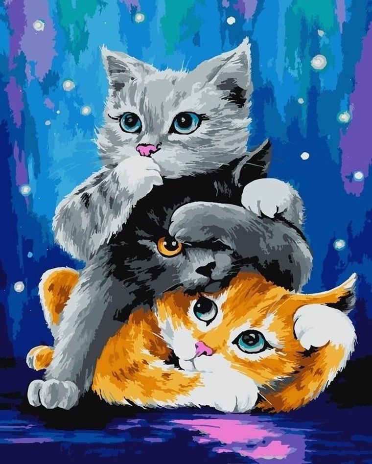 Koh-I-Noor, malowanie po numerach, kotki, 40-50 cm