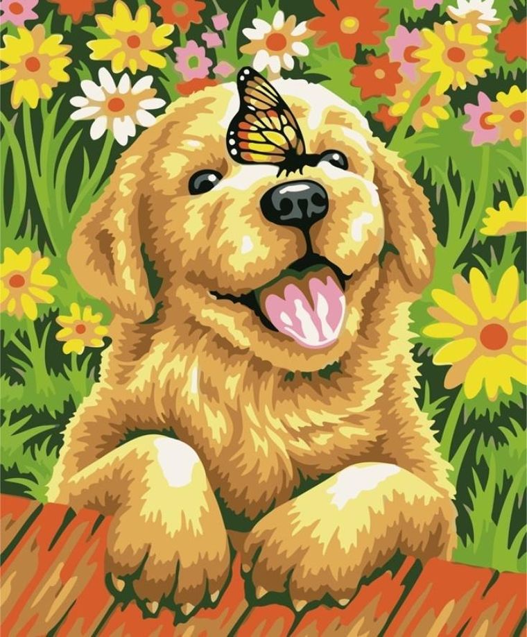 Koh-i-Noor, malowanie po numerach, podobrazie Piesek z motylem, 40-50 cm