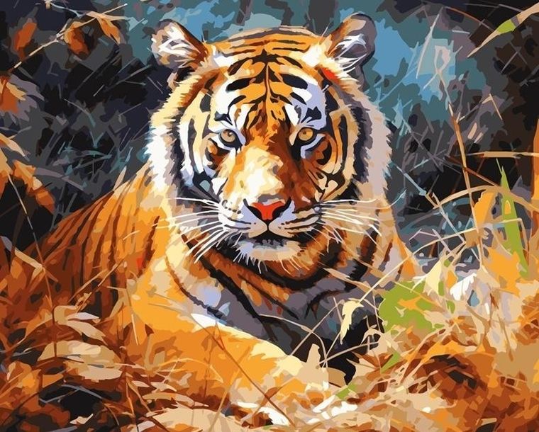 Koh-I-Noor, malowanie po numerach, tygrys, 40-50 cm