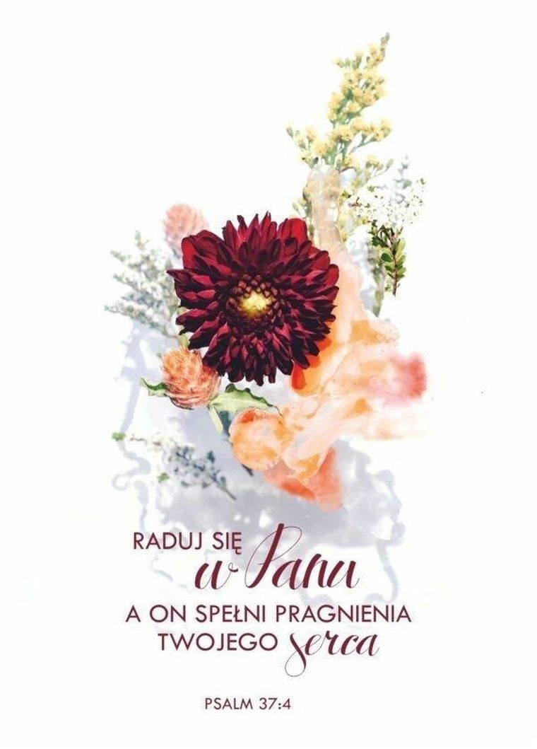 Koinonia, kartka okolicznościowa, Raduj się w Panu, kwiat bordo