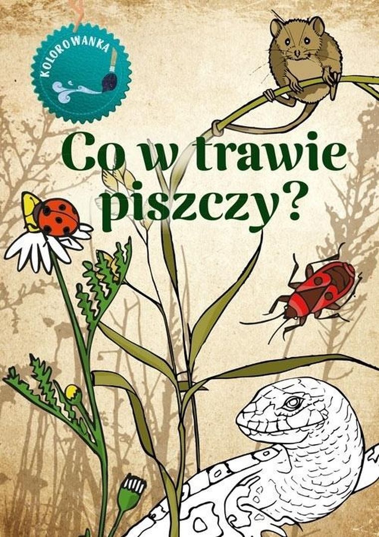 Kolorowanka. Co w trawie piszczy