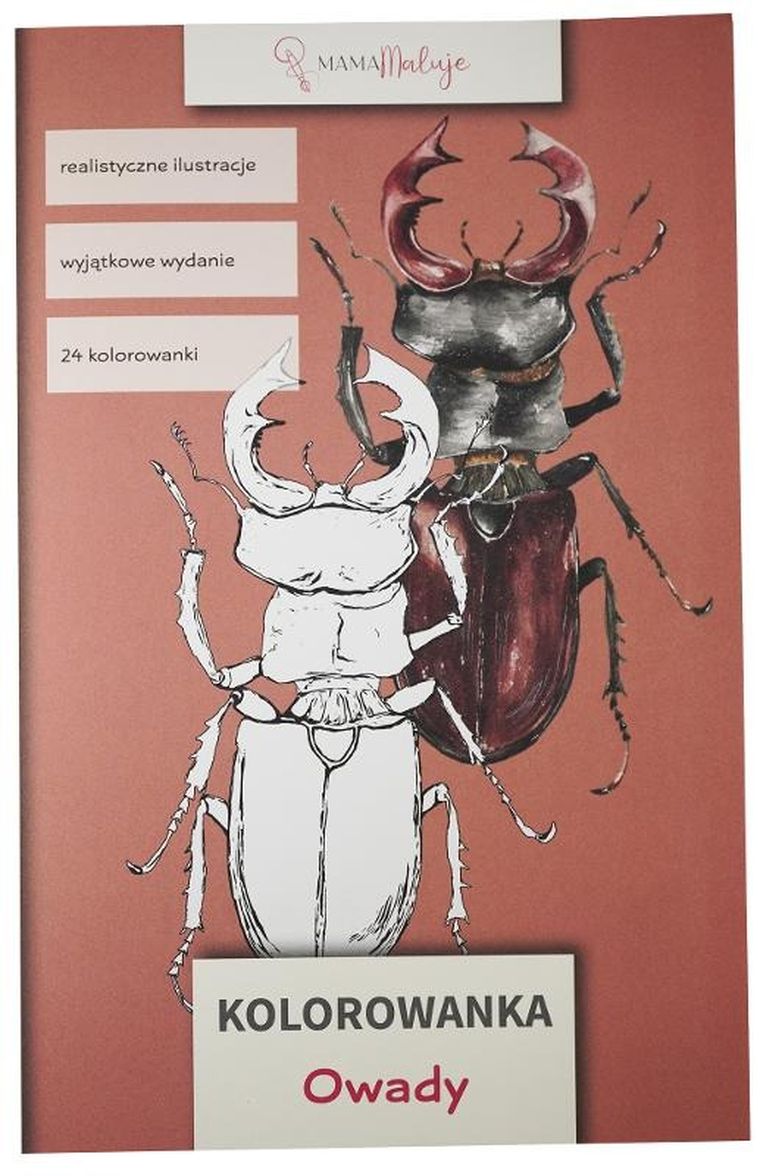 Kolorowanka. Owady