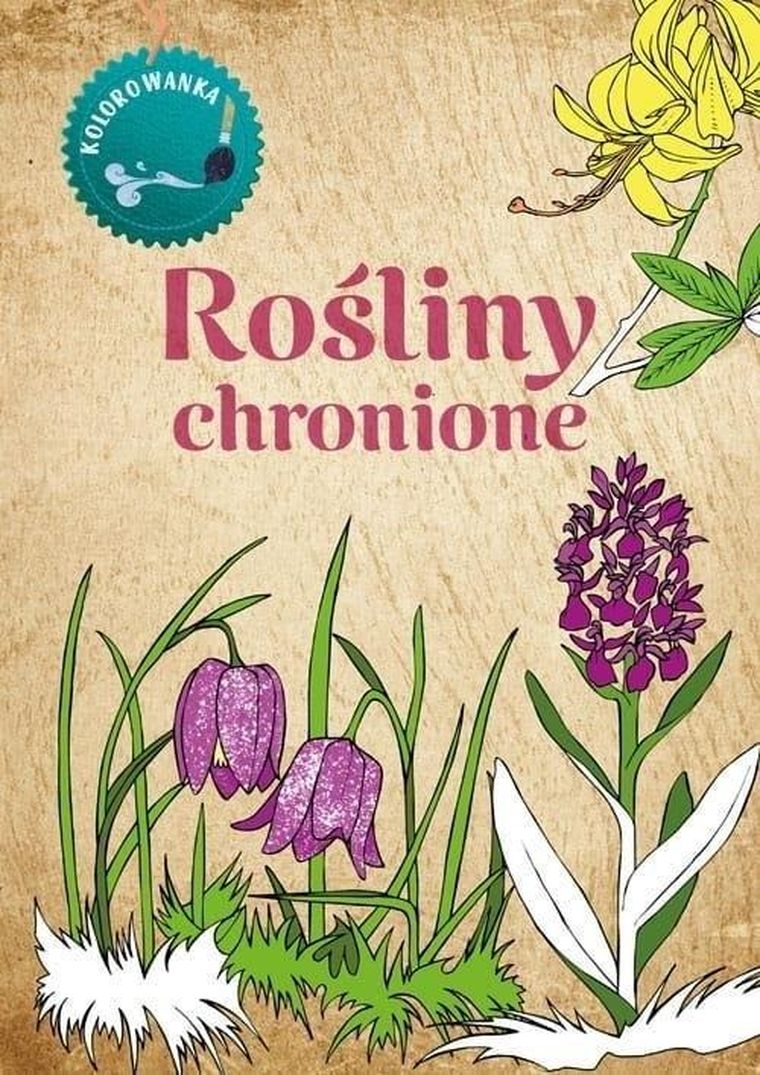 Kolorowanka. Rośliny chronione