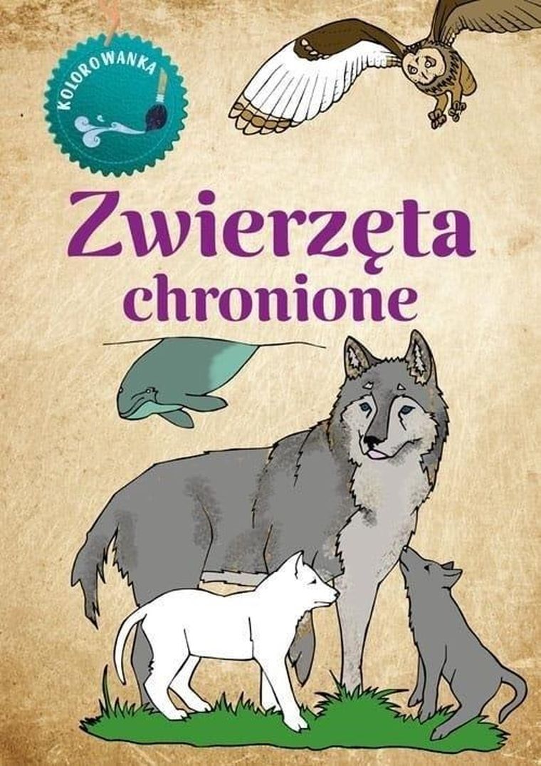 Kolorowanka. Zwierzęta chronione