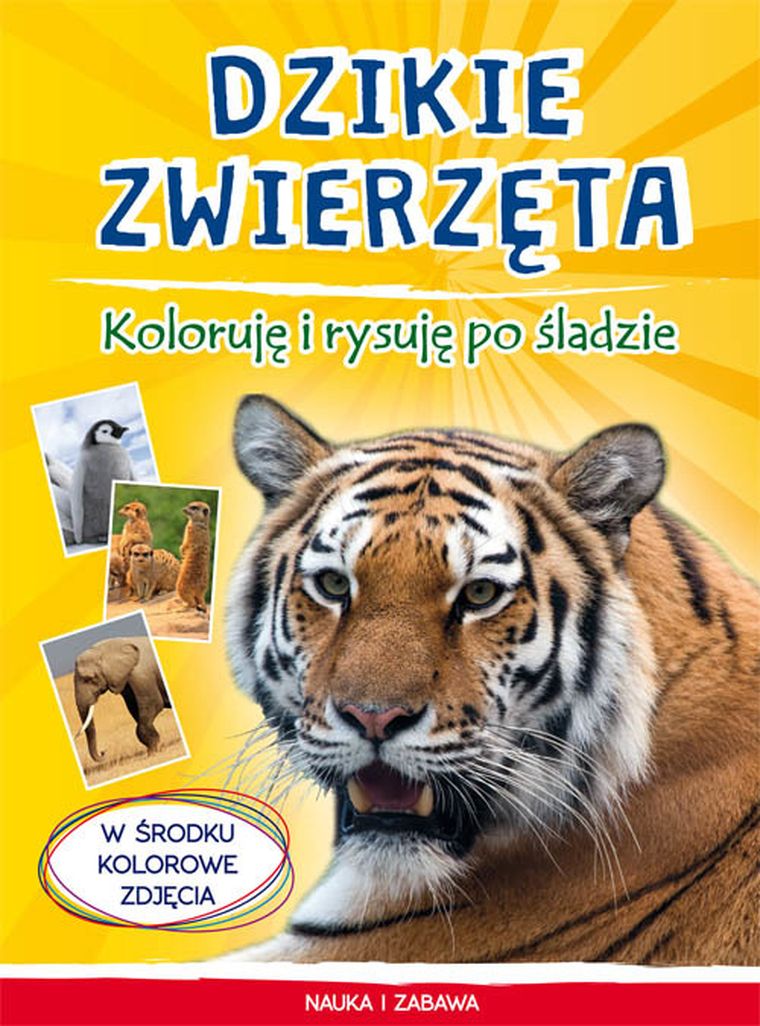 Koloruję i rysuję po śladzie. Dzikie zwierzęta