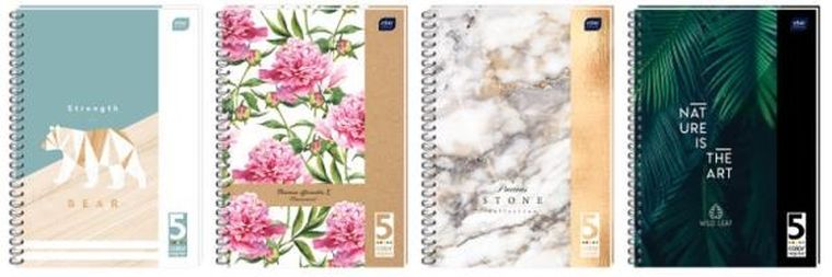 Kołozeszyt B5, 100 kartek, kratka, 5 kolorów registrów, 1 szt.