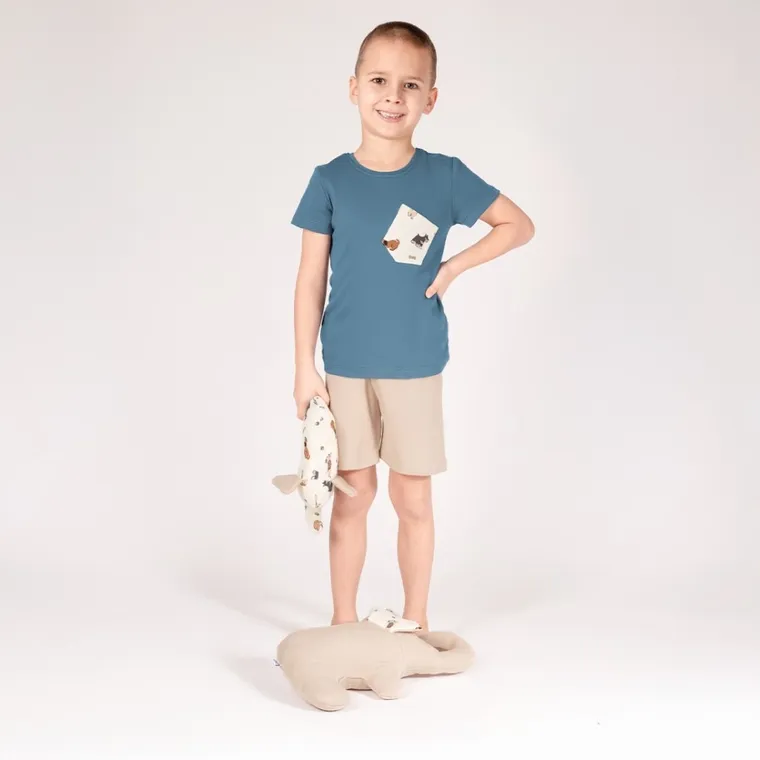 Komplet chłopięcy, T-shirt, Szorty, mix, Nicol