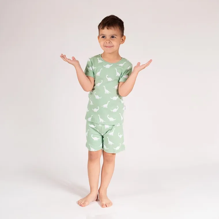 Komplet chłopięcy, T-shirt, Szorty, zielony, Nicol
