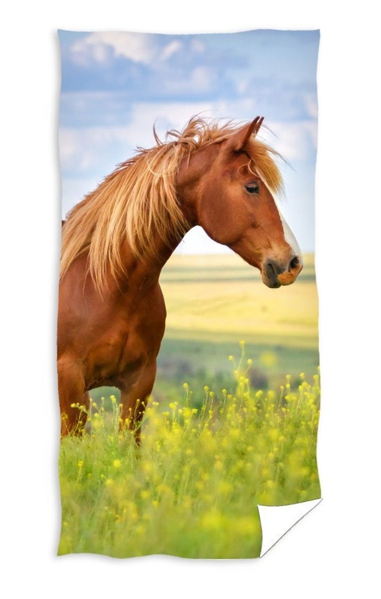 Koń na łące, ręcznik, 70-140 cm