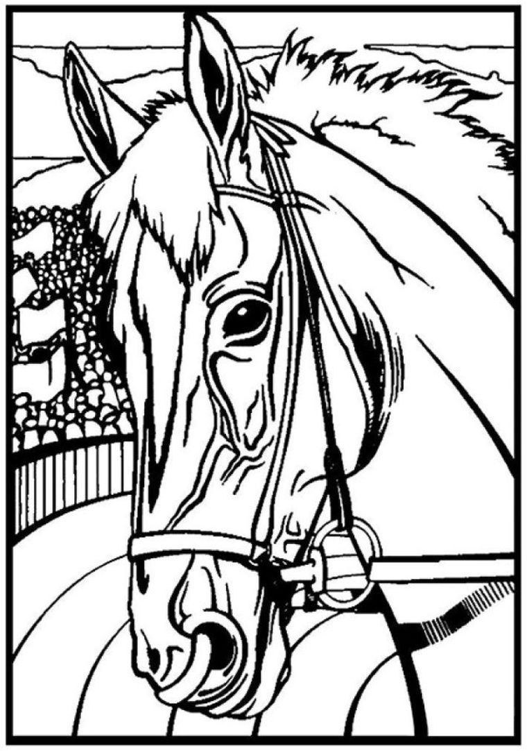 Koń Profil. Kolorowanka welwetowa A4