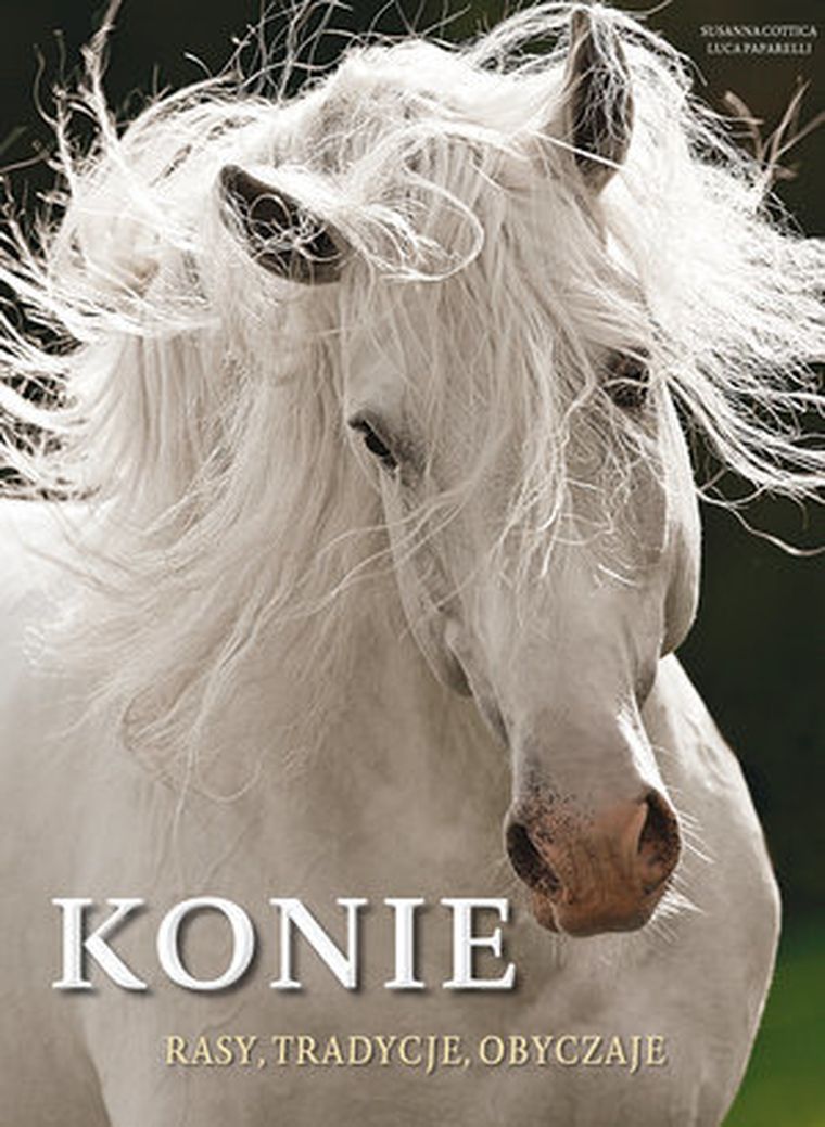Konie
