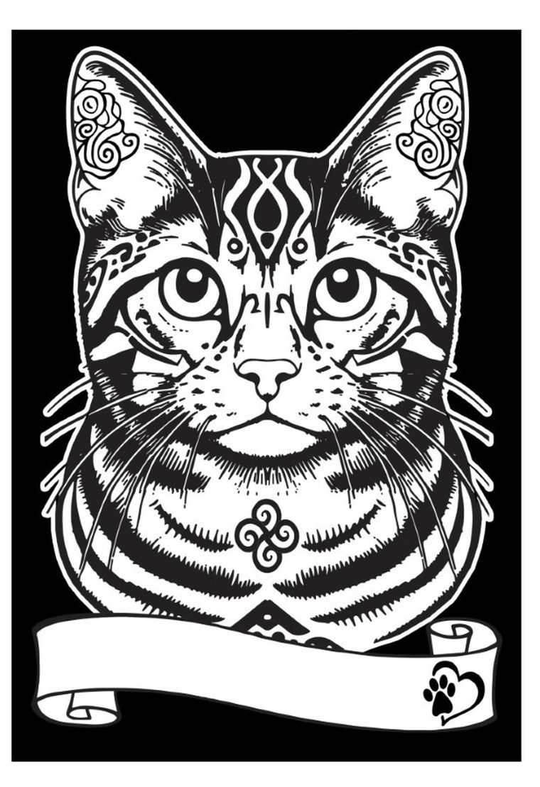 Kot Europejski. Kolorowanka welwetowa A4