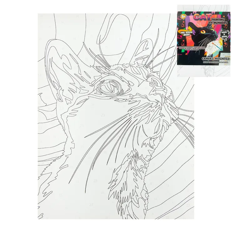 Kot, malowanie po numerach, zestaw kreatywny