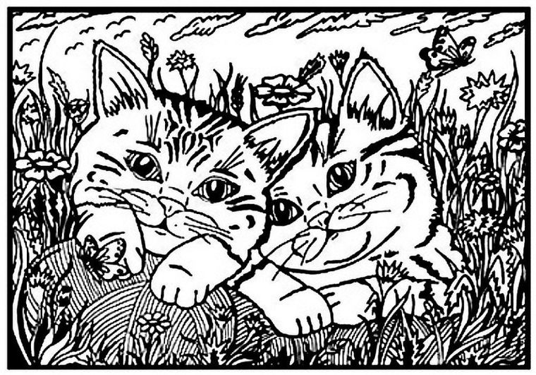 Koty. Kolorowanka welwetowa A4