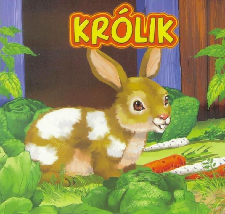 Królik