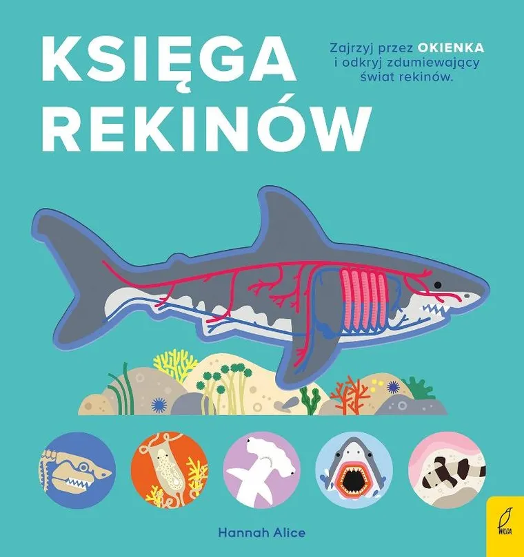 Księga rekinów. Encyklopedia z folią