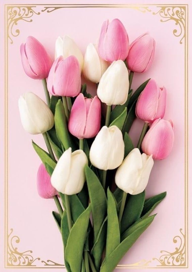 Kukartka, karnet B6, Kwiaty