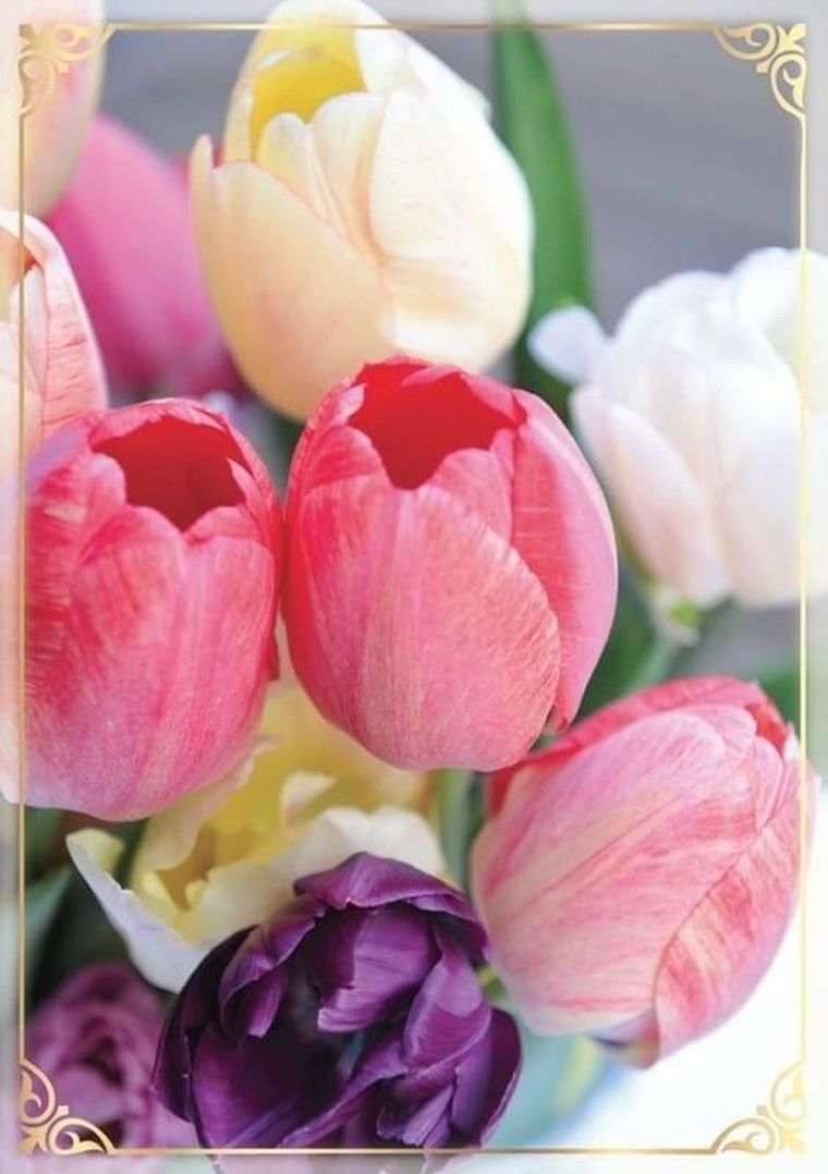 Kukartka, karnet B6, Kwiaty