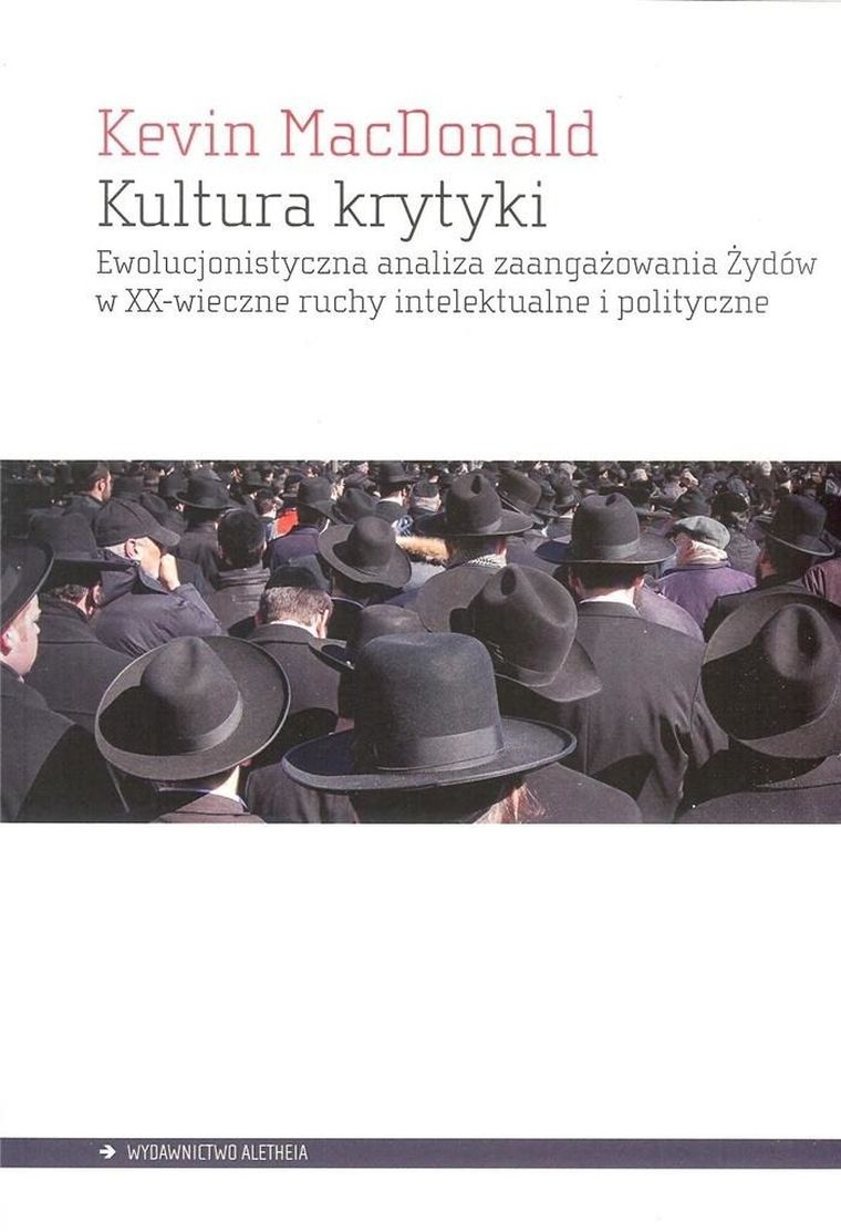 Kultura krytyki