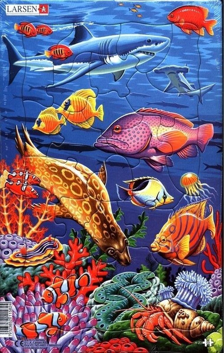 Larsen, Rafa koralowa, puzzle ramkowe, 25 elementów