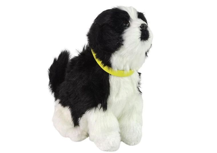 Lean Toys, Border Collie, maskotka interaktywna