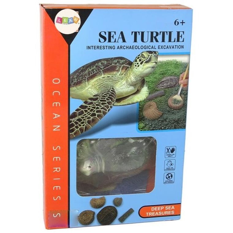 Lean Toys, wykopaliska, żółw