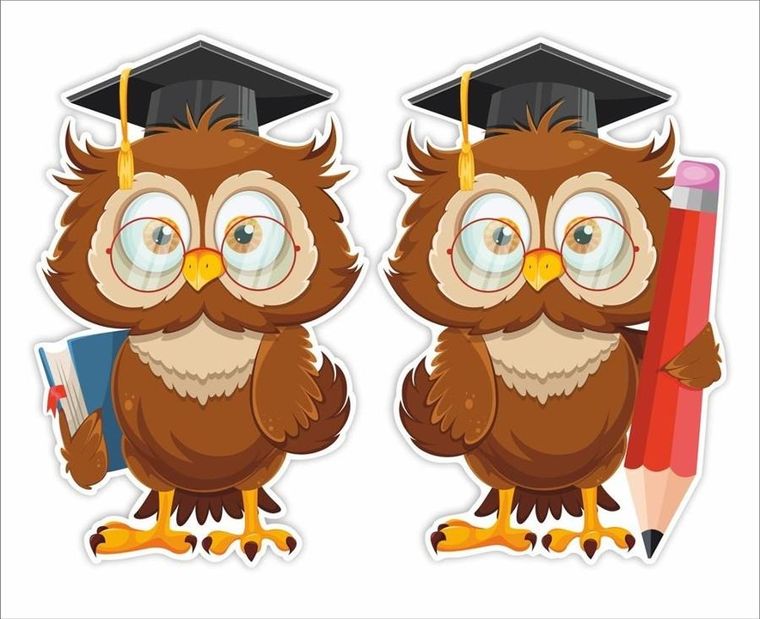 LearnHow, dekoracje okienne, szkoła, sowy w biretach, 2 szt.