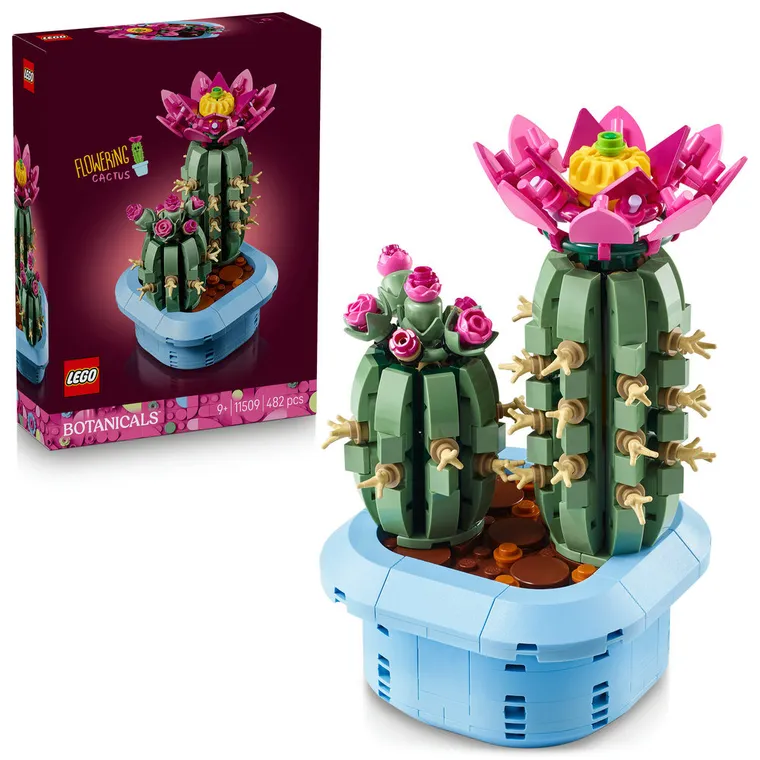 LEGO Botanicals, Kwitnący kaktus, 11509
