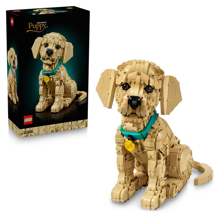 LEGO Icons, Szczeniak golden retriever, 11384