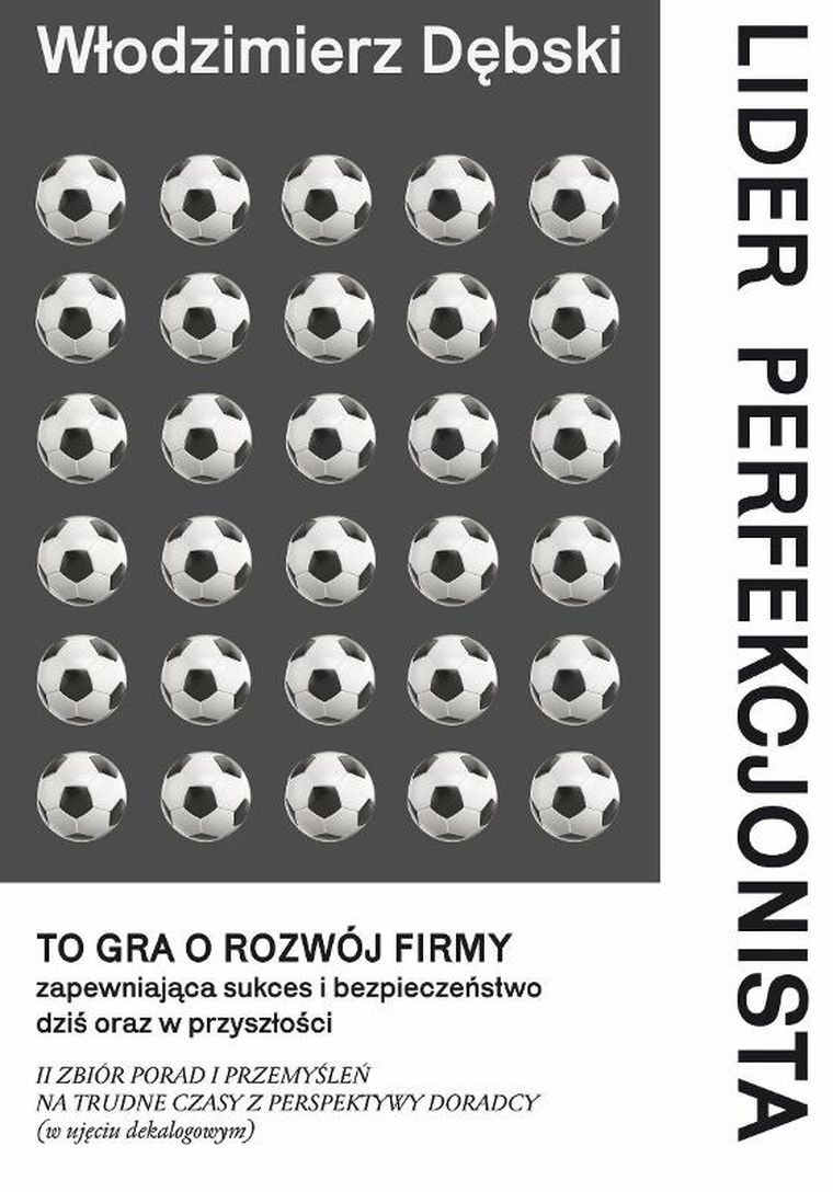 Lider perfekcjonista